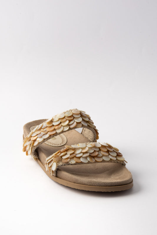 The Trina 01-6050