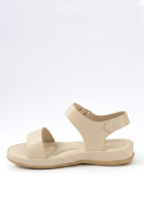 The shauna 01-6091