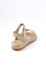 The shauna 01-6091