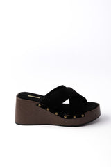 The Avi 01-6097