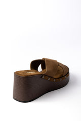 The Avi 01-6097