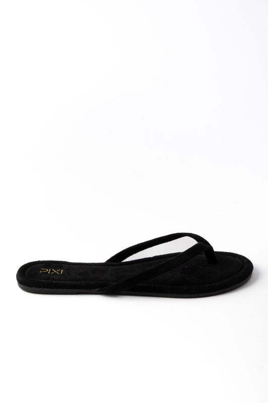 The Dandy 01-6175