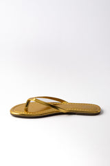 The Gemma 01-6176