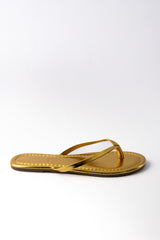 The Gemma 01-6176