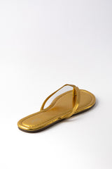 The Gemma 01-6176