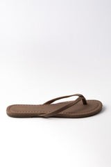 The Gemma 01-6176