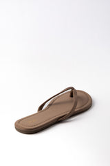 The Gemma 01-6176